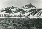 Bild från expedition i Antarktisområdet. Vy över snötäckta berg med båtar och vatten i förgrunden.