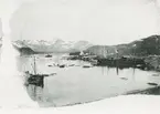 Bild från expedition i Antarktisområdet. Vy över hamn, båtar och berg.