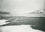 Bild från expedition i Antarktisområdet. Vy över stenig strand, hav och berg.