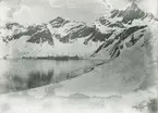 Bild från expedition i Antarktisområdet. Vy över hamn och snötäckta berg.