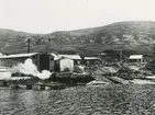 Bild från expedition i Antarktisområdet. Motiv av New Island Station, Falklandsöarna.