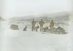 Fotografi från Grönland. Motiv av tre män, hundspann och packning i ett snölandskap.