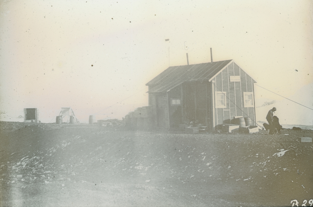 Fotografi från Snow Hill, Antarktis. Motiv av man med hundar vid trähus.