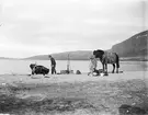 Fotografi från Grönland. Motiv av man med häst vid vatten.