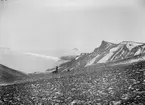 Fotografi från undsättningsexpeditionen med fartyget Uruguay 1903. Motiv av man med hund i ett snötäckt bergslandskap.