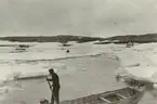 Fotografi från svenska undsättningsexpeditionen 1928. Motiv av man i liten träbåt i Murchison Bay.