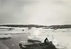 Fotografi från svenska undsättningsexpeditionen 1928. Motiv av flygbåtar och båt i ett islandskap i Murchison Bay.