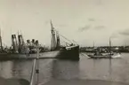 Fotografi från Albin Ahrenbergs resa till Grönland 1929. Motiv av fartyg vid hamn.