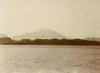 Fotografi från Albin Ahrenbergs resa till Grönland 1929. Vy över Västmannaöarna, en ögrupp utanför Islands sydkust.