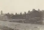 Fotografi från Albin Ahrenbergs resa till Grönland 1929. Motiv av hus, väg och träd på landsbygd.