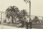 Fotografi från Albin Ahrenbergs resa till Grönland 1929. Motiv av personer vid park med palmer.