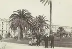 Fotografi från Albin Ahrenbergs resa till Grönland 1929. Motiv av människor vid park med palmer.