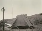 Fotografi från Ahlmannexpeditionen 1931. Motiv av tält vid basstationen 