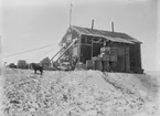 Fotografi från undsättningsexpeditionen med fartyget Uruguay 1903.  Motiv av hund framför litet hus.