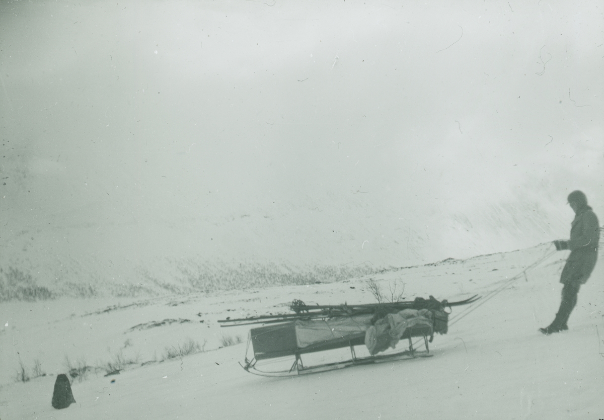 Fotografi från expedition till Spetsbergen. Motiv av kvinna som drar packning genom snölandskap.