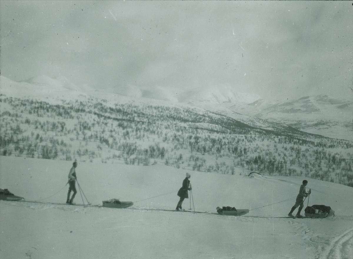 Fotografi från expedition till Spetsbergen. Motiv av tre personer som drar packning genom snötäckt bergslandskap.