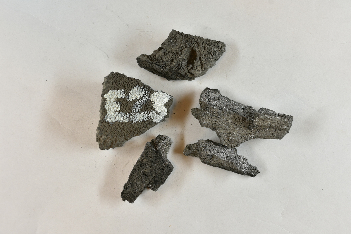 Fem prover av kol från Philadelphia märkt "E23". Medföljande brev dat. 1876.