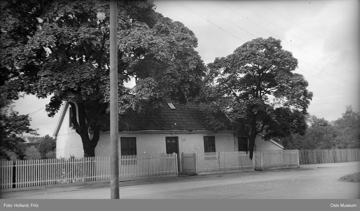 bolighus, trehus, stakitt, trær