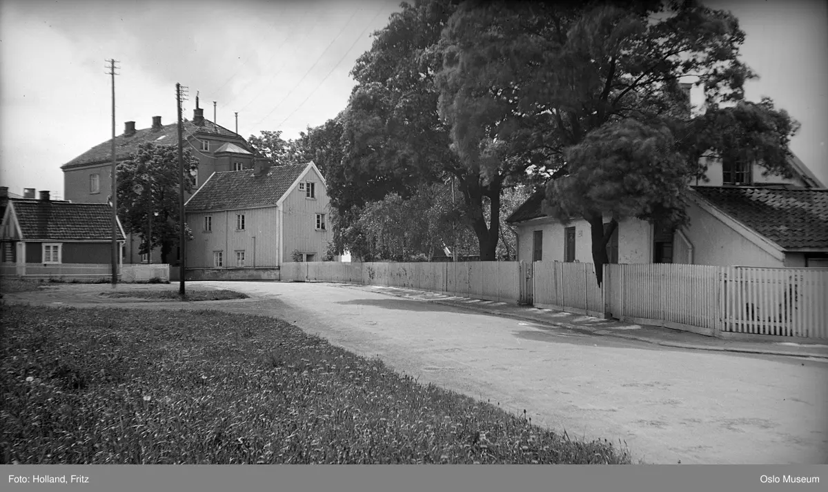 bolighus, trehus, bygård, stakitt, trær