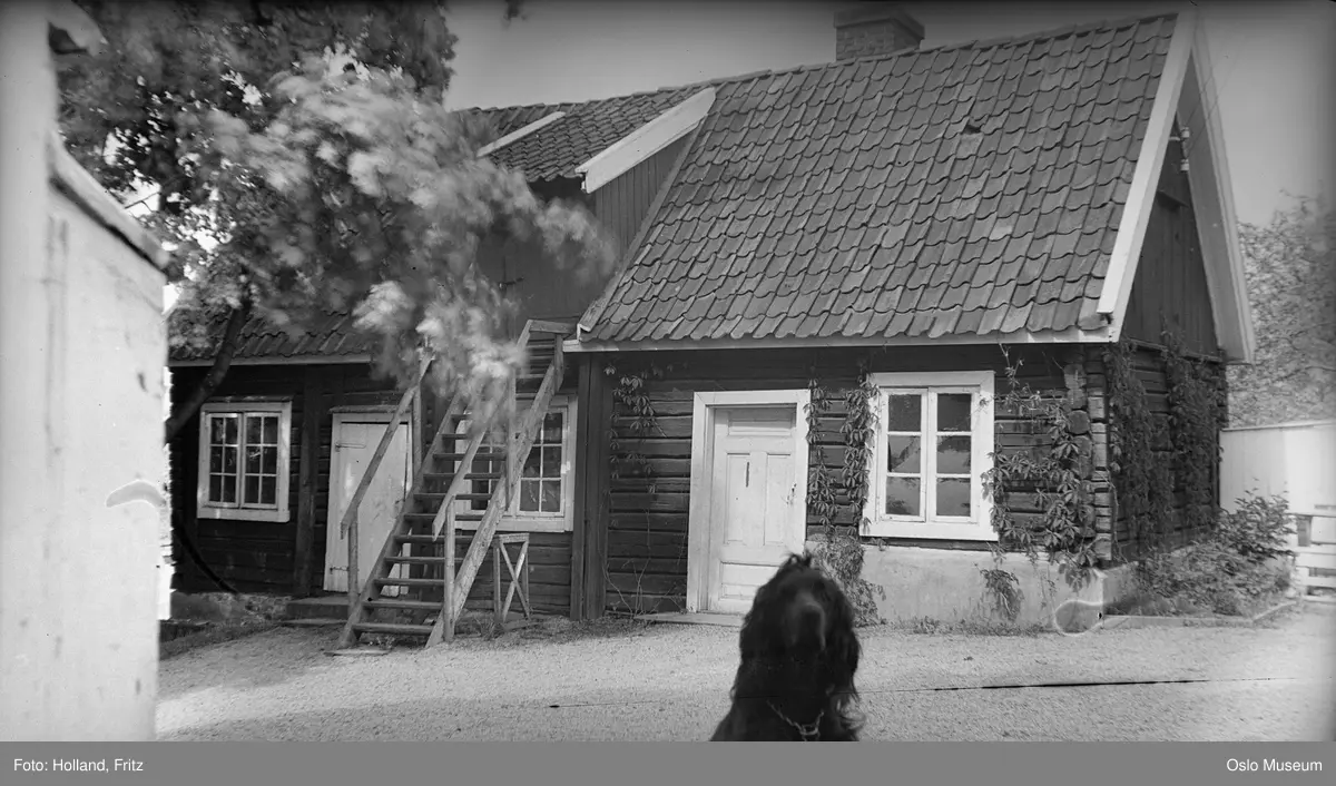 laftehus, bolighus, trapp, gårdsplass, hund