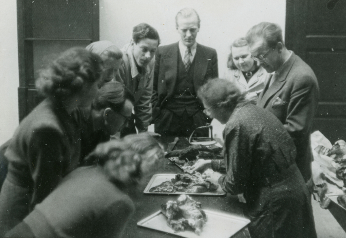 Frå undervisning på Oslo lærerskole på 1950-talet.