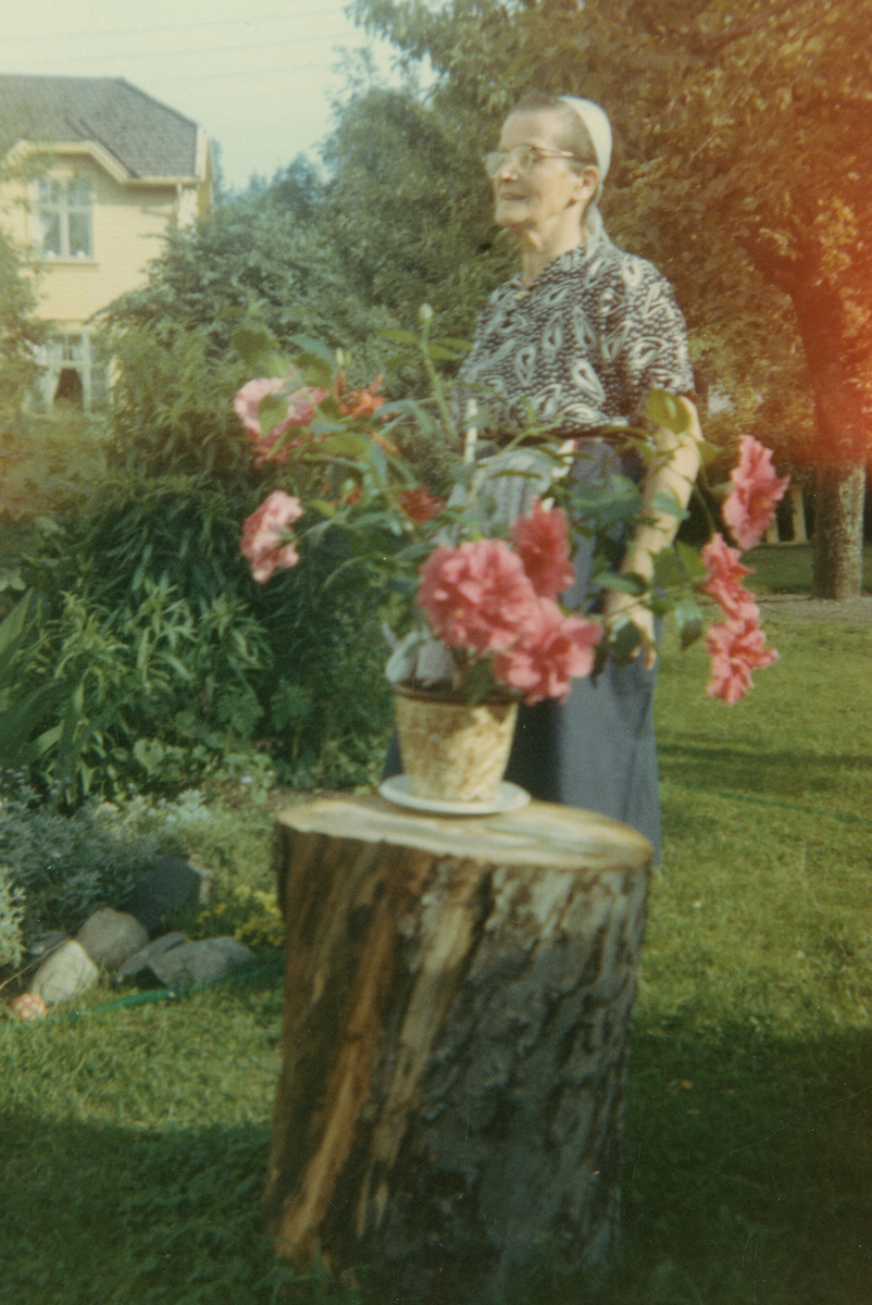 Ulike foto av Astrid Margrethe Terjesen på sine eldre dagar.  Åleine og samen med andre.