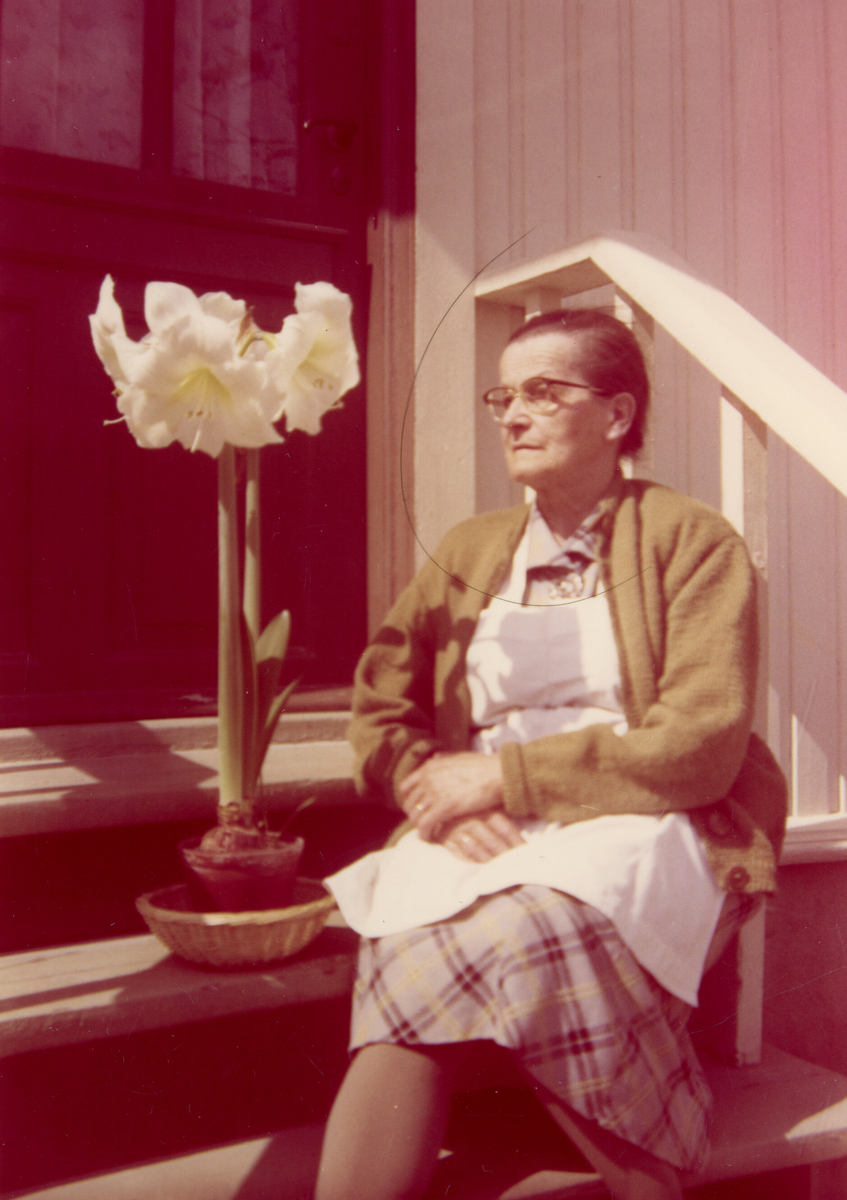 Ulike foto av Astrid Margrethe Terjesen på sine eldre dagar.  Åleine og samen med andre.