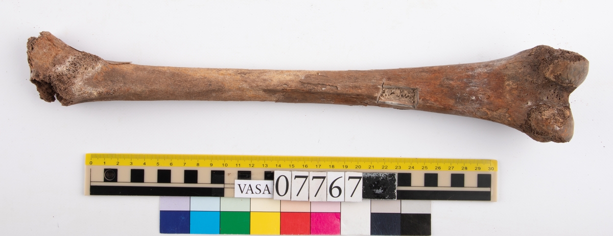 Lårben, vänster. Flagigt.
Femur, sinister.