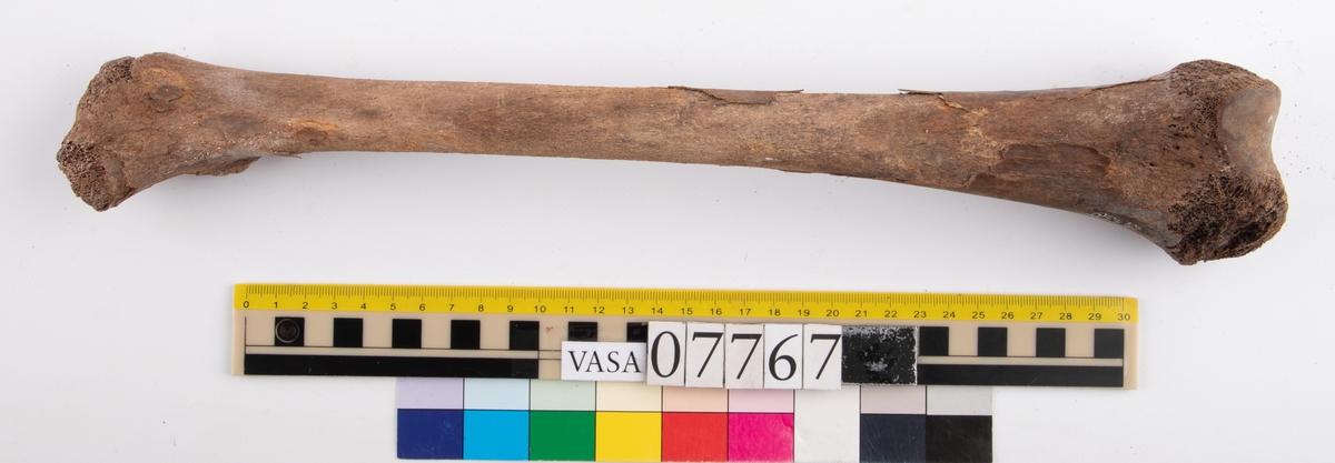 Lårben, vänster. Flagigt.
Femur, sinister.