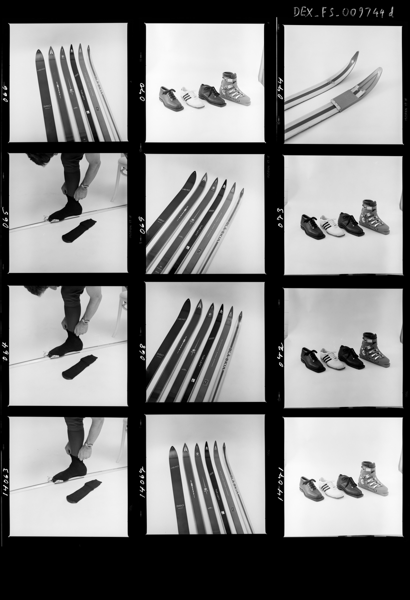 M. Brady. Skibok, Dreyer.