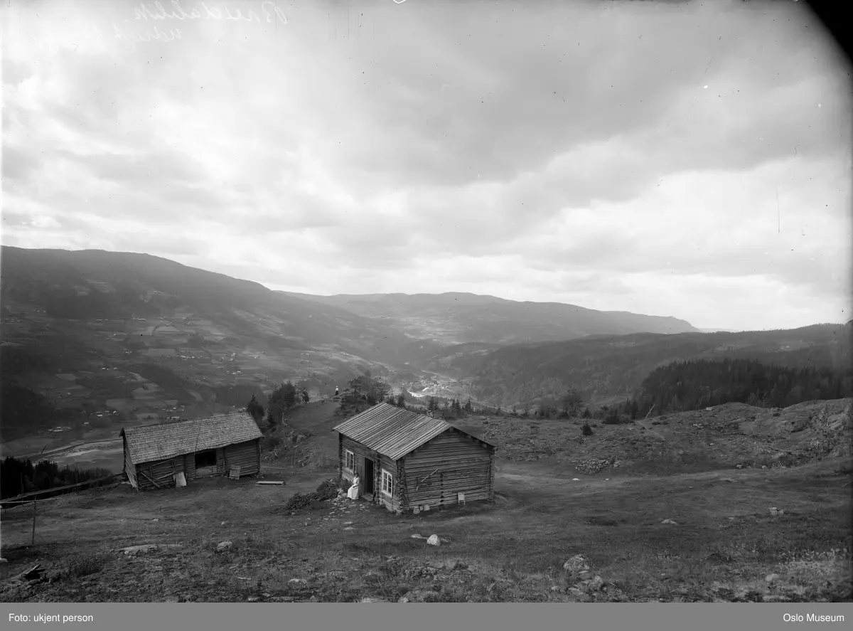 utsikt, fjellgård, kvinner, kulturlandskap, gårder, skog