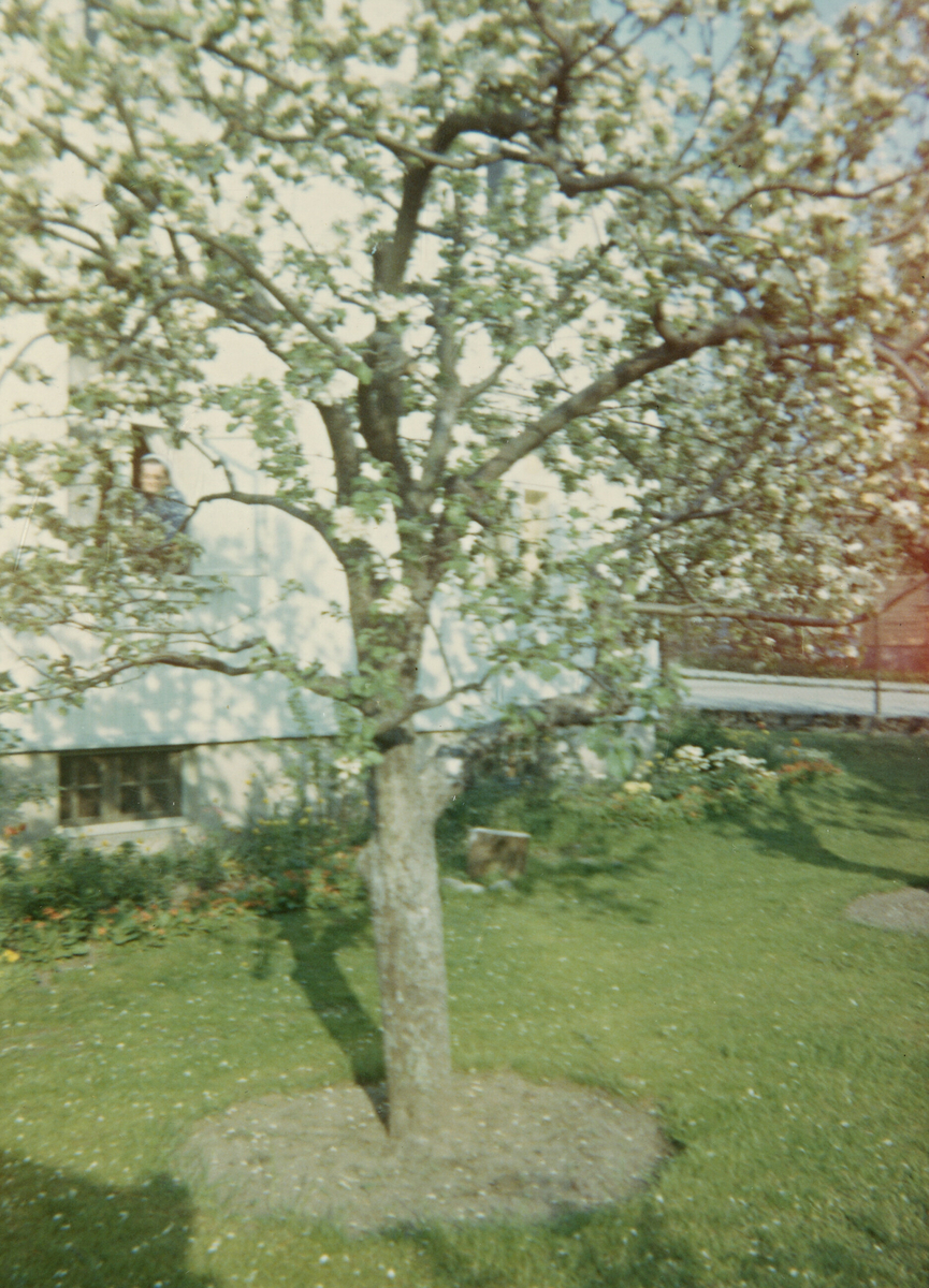 Hagen til Astrid Margrete Terjesen