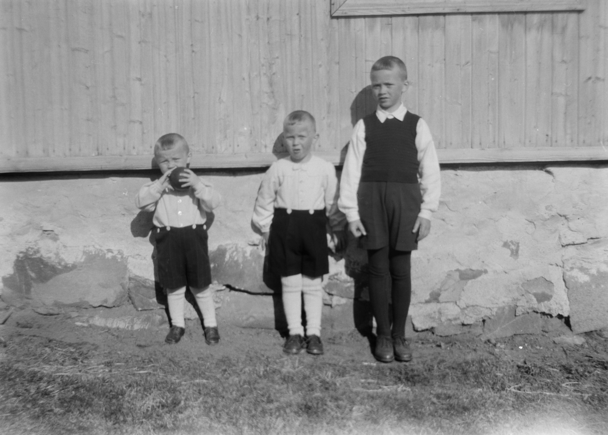 Tre små gutter på besøk hos bestemor og bestefar på Biri.
Karl, Steinar og Kristian Mangrud.