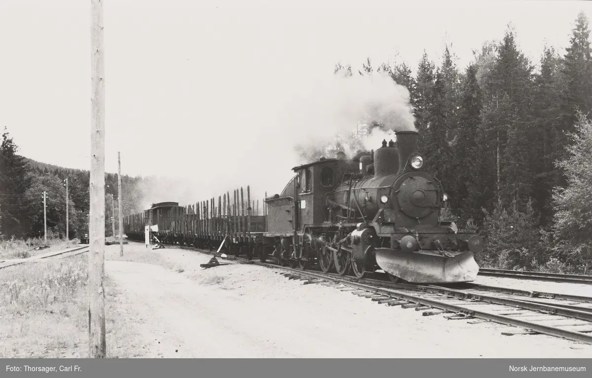 Damplokomotiv type 21b nr. 225 med godstog fra Kongsberg til Rødberg kjører inn på Flesberg stasjon