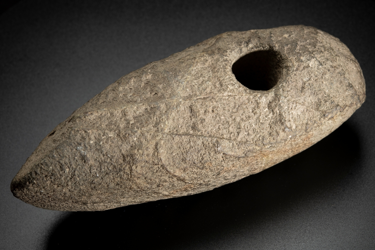 Skafthålsyxa av bergart. Av grovkornig, ådrig bergart. Ett klumpigt, oslipat exemplar.