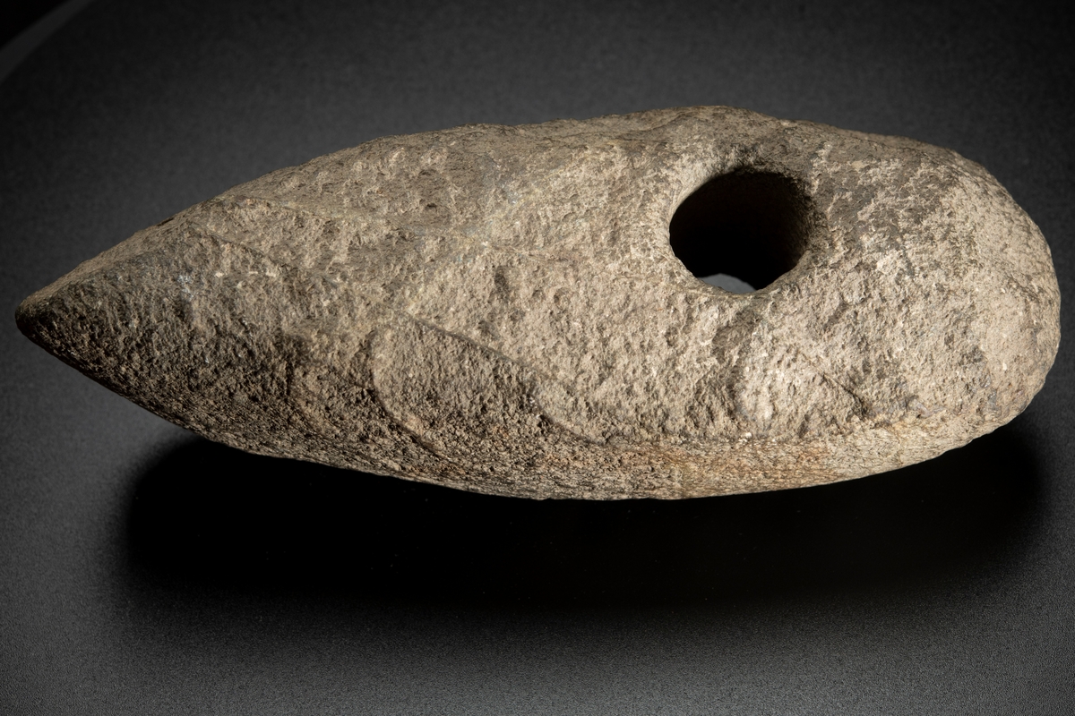 Skafthålsyxa av bergart. Av grovkornig, ådrig bergart. Ett klumpigt, oslipat exemplar.