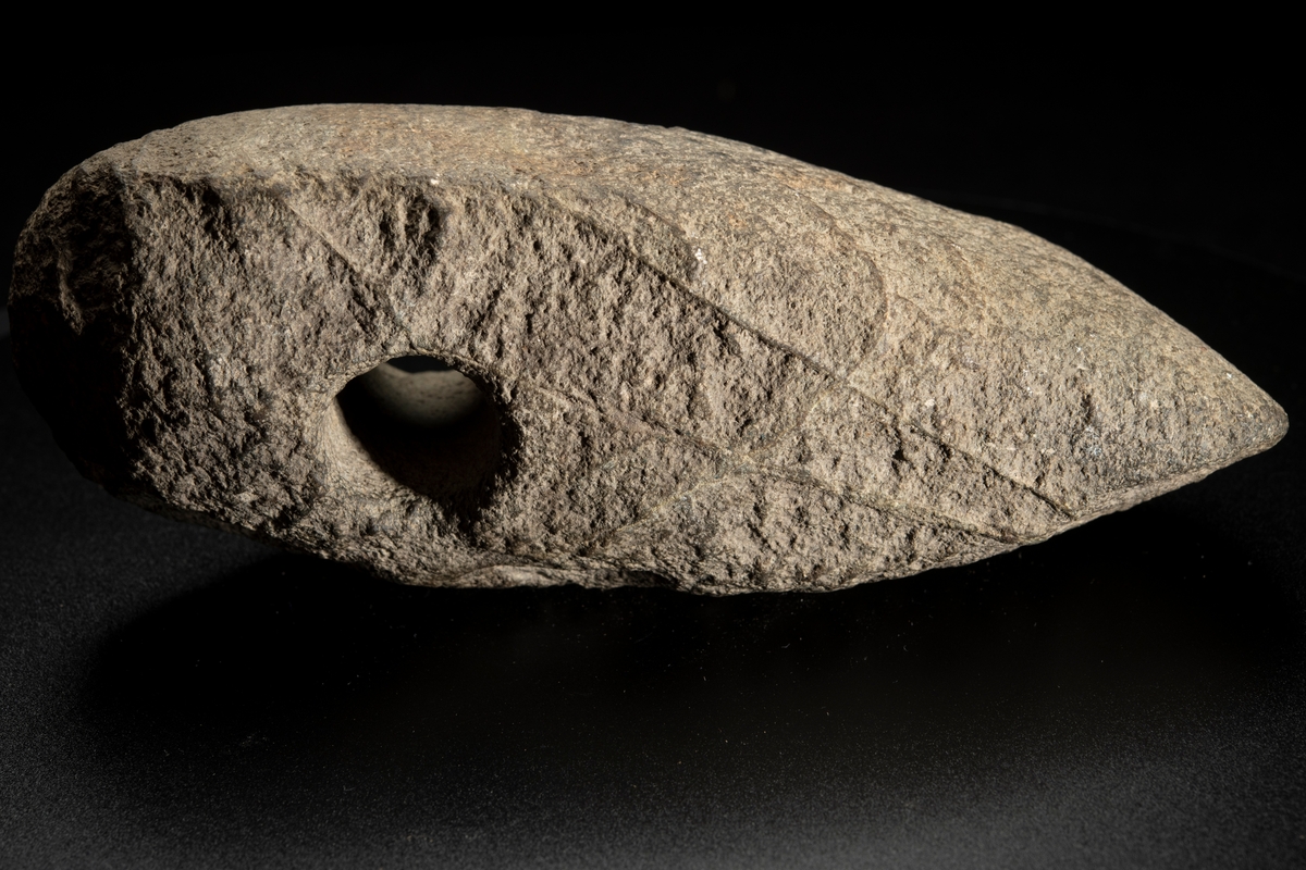 Skafthålsyxa av bergart. Av grovkornig, ådrig bergart. Ett klumpigt, oslipat exemplar.