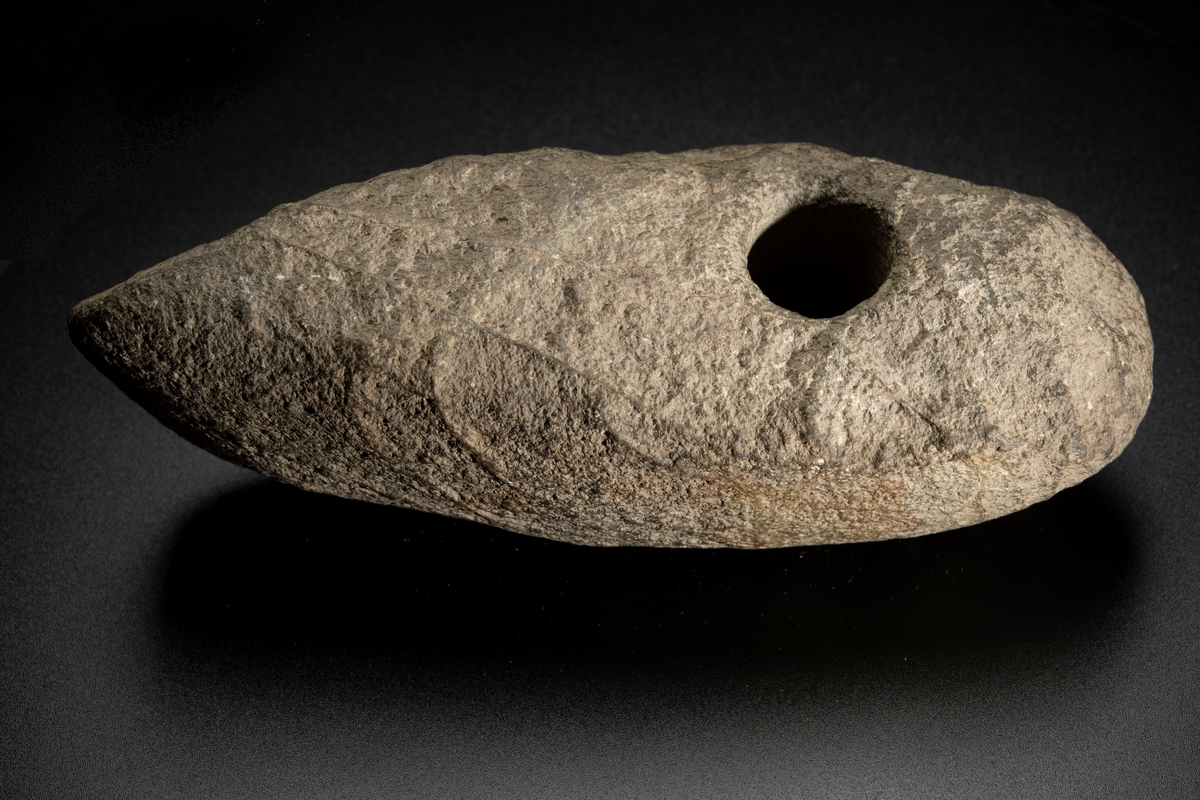 Skafthålsyxa av bergart. Av grovkornig, ådrig bergart. Ett klumpigt, oslipat exemplar.