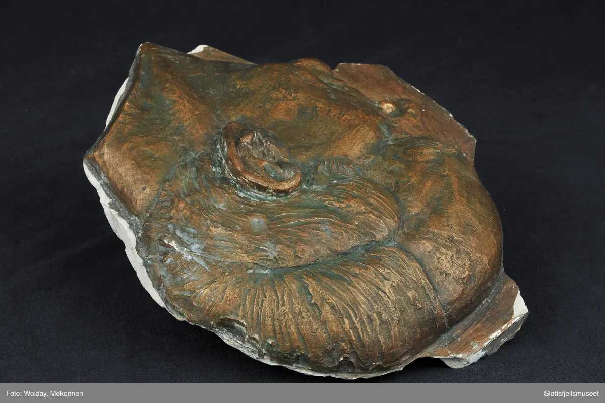 Mann i profil av kong Olav