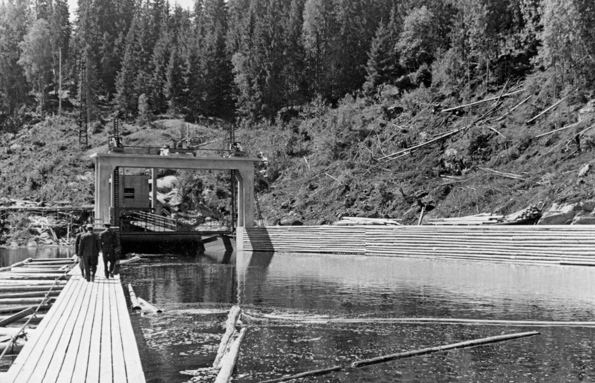 Innløpskanalen til tømmerrenna som ble bygd ved Kykkelsrud kraftstasjon i Nedre Glomma i perioden 1939-1941. Fotografiet er altså tatt i motstrøms retning, oppover vannspeilet, der det var lagt ei avstivet ganglense på skrå over vassdraget. Denne lensa skulle tjene som en skjerm som skulle lede løstømmer som kom flytende ovenfra mot innløpet til tømmerrenna og samtidig fungere som arbeidsplattform for fløterne. Nærmest innløpet til renna var det støpt en portal av betong, sannsynligvis med en reguleringsmekanisme for en «inntaksskuff» som normalt befant seg under vannflata. Ved å heve eller senke denne «skuffen» kunne man justere vanntilførselen til renna etter vannføringa i hovedelva og etter de tømmermengdene som skulle ekspederes forbi kraftverksdammen. For kraftverket var det et mål at dette skjedde med minst mulig vannforbruk.  

Mer informasjon om kraftproduksjonen ved Kykkelsrud og det nevnte byggeprosjektet finnes under fanen «Opplysninger».