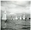 Västerås.
Regatta på Mälaren 1947.