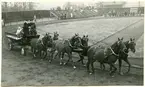 Västerås, Arosvallen.
Sexspann med Ek på kuskbocken. 1930-tal.