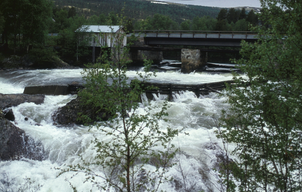 Foss Atnbrua