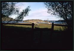 Text på kortet: "Holma park mot Vadboholmen. Nov -86".