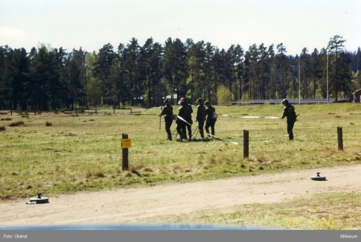 Regementets dag. Stridsförevisning.