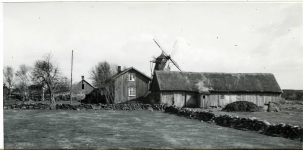 Bondgård med väderkvarn i bakgrunden. Hallas, Sunvära 11. Framför ladugården ligger gödselstacken och troligen är den lilla utbyggnaden ett dass.