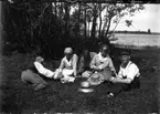 Picknick i det gröna. Fem personer sitter i gräset vid en sjö.