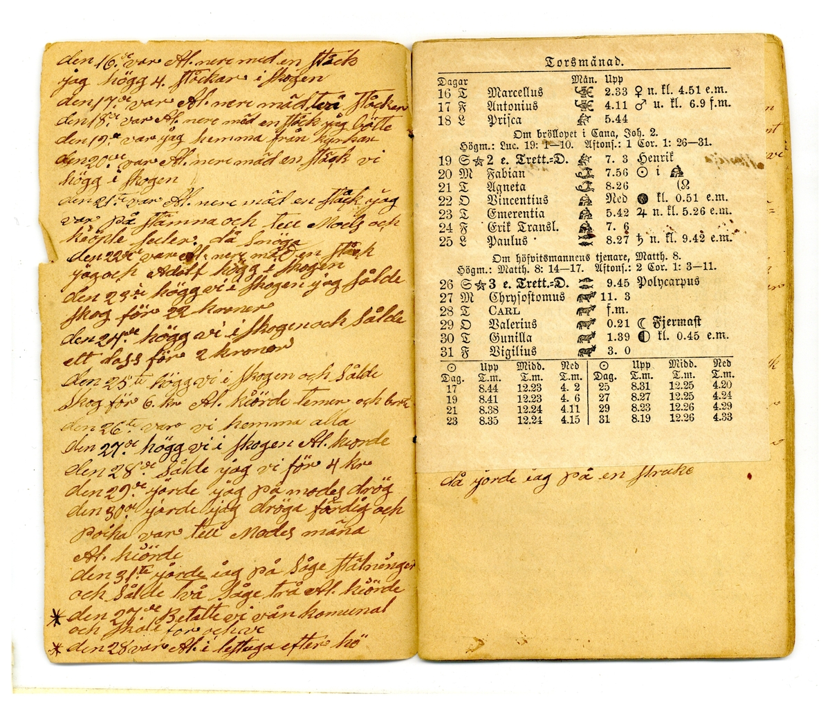 Kölabydagboken 1879
