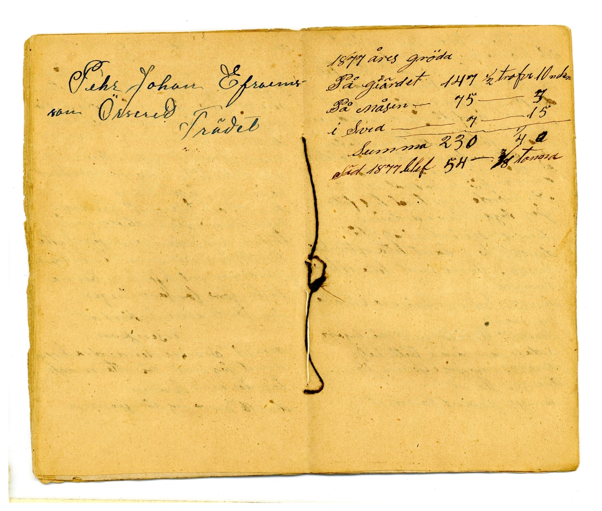 Kölabydagboken 1877