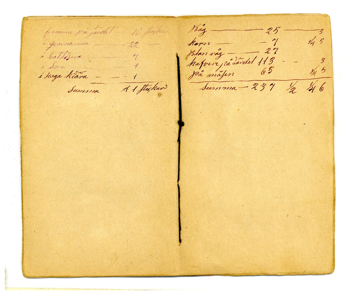 Kölabydagboken 1879